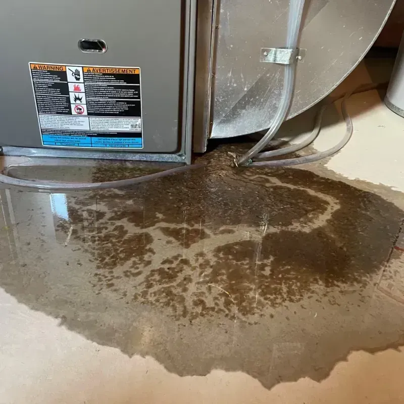 Appliance Leak Cleanup in Wilcox County, GA